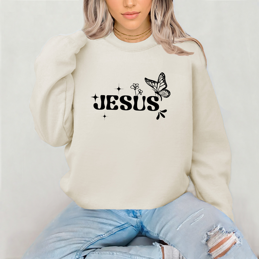 Jesus Divine Nature Sweatshirt